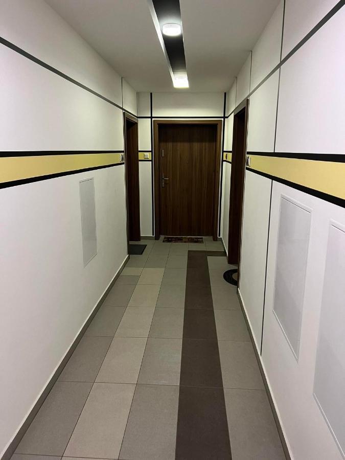 Big Forest Apartman Apartment Debrecen Bagian luar foto
