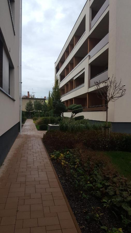 Big Forest Apartman Apartment Debrecen Bagian luar foto